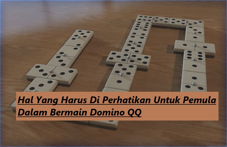 Hal Yang Harus Di Perhatikan Untuk Pemula Dalam Bermain Domino QQ